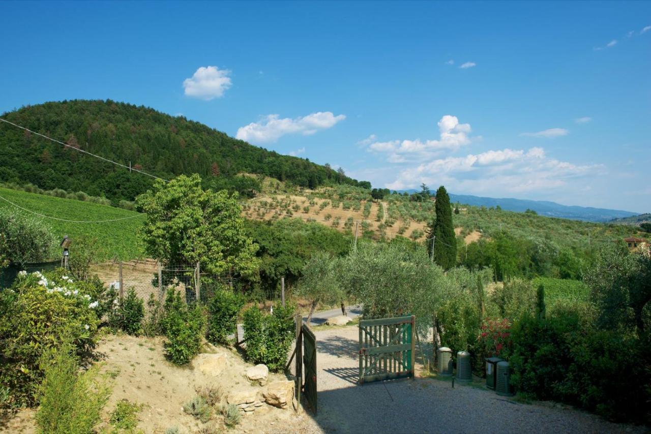 I Veroni - Agriturismo And Wine Cellar Pontassieve Exterior photo