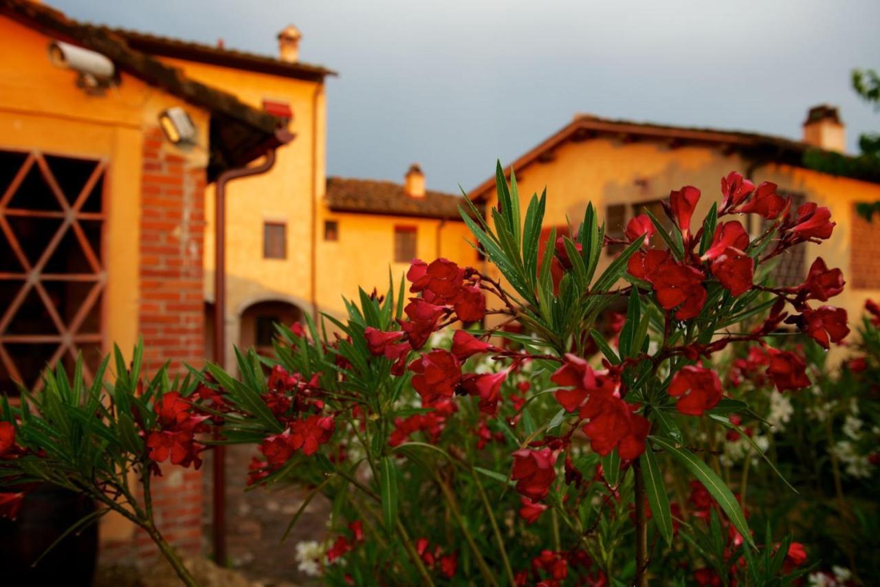 I Veroni - Agriturismo And Wine Cellar Pontassieve Exterior photo