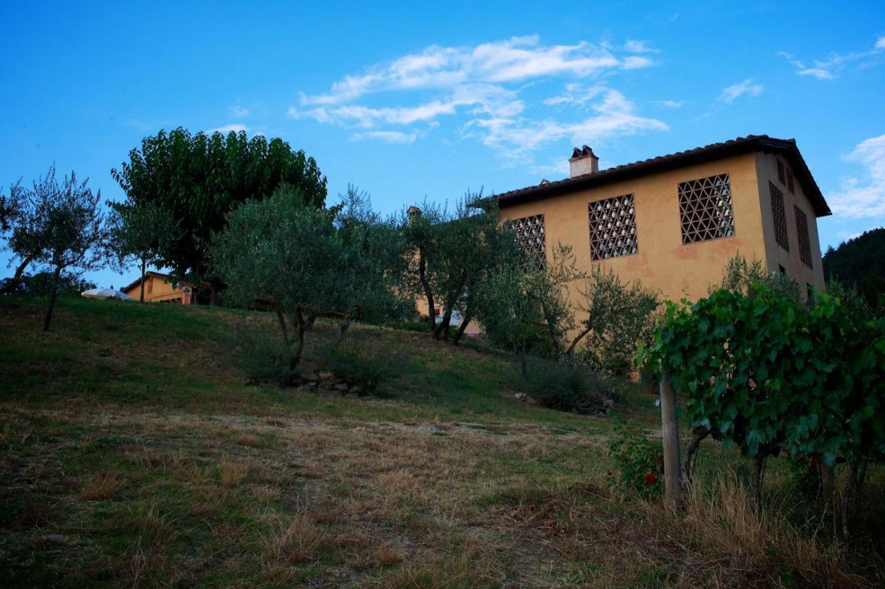 I Veroni - Agriturismo And Wine Cellar Pontassieve Exterior photo